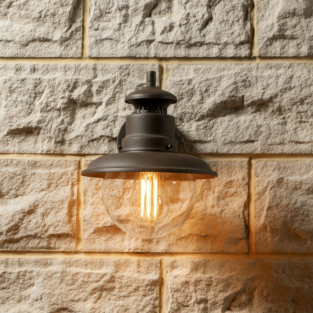 Cygnet Bronze Metal and Clear Glass Outdoor Wall Light