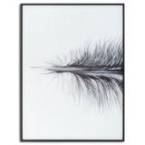 Black Striped Feather Over 3 Black Glass Frames - Vookoo Lifestyle