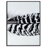 Black Striped Feather Over 3 Black Glass Frames - Vookoo Lifestyle