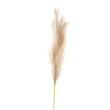 BleachedLarge Faux Pampas Grass Stem - Vookoo Lifestyle