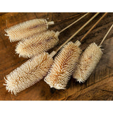 Bouquet Of Dried Tall Thistle - Vookoo Lifestyle