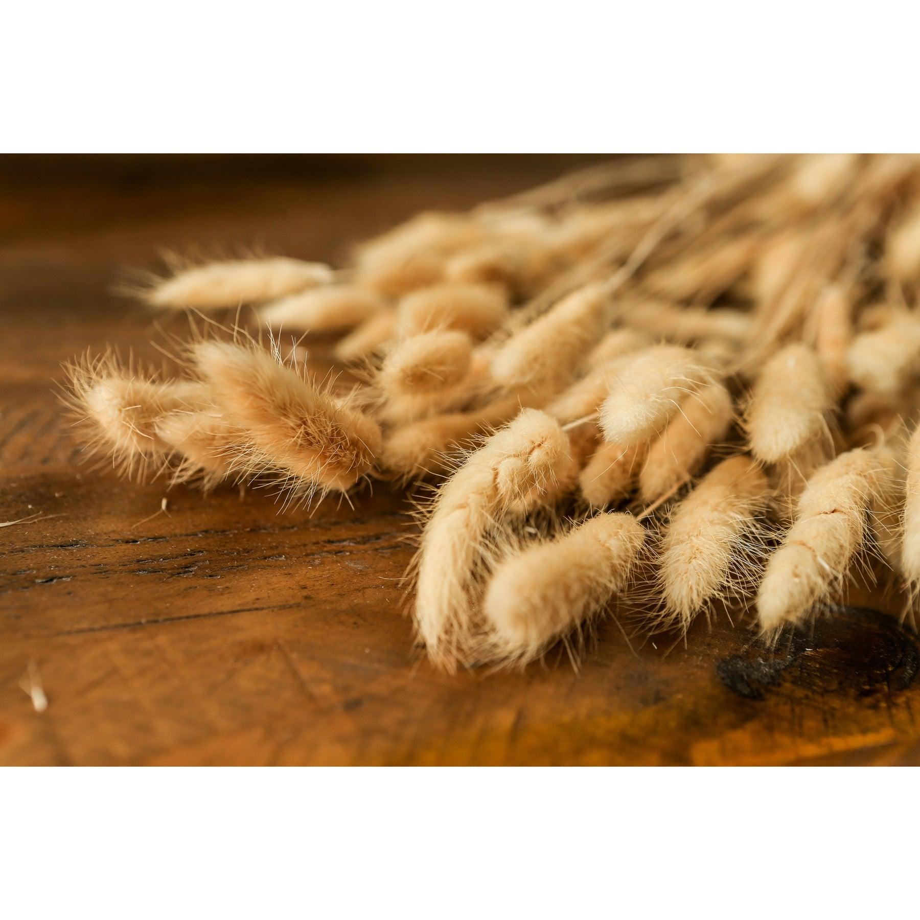 Bouquet Of Tall Bunny Tails - Vookoo Lifestyle
