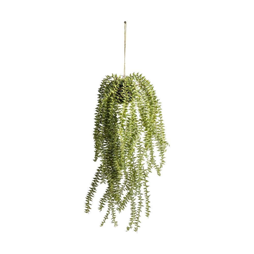 Conway Cactus Horsetail - Vookoo Lifestyle