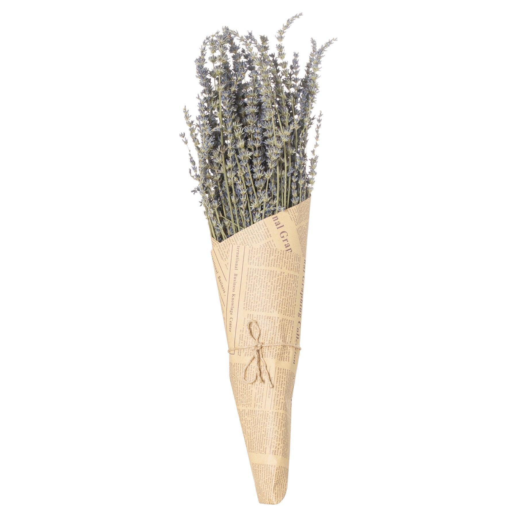Dried lavender Bunch - Vookoo Lifestyle
