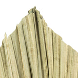 Dried Natural Fan Palm - Vookoo Lifestyle