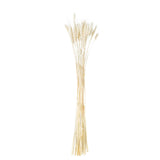 Dried White Wheat Bunch Of 20 - Vookoo Lifestyle