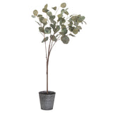 Eucalyptus Tree In Metallic Pot - Vookoo Lifestyle
