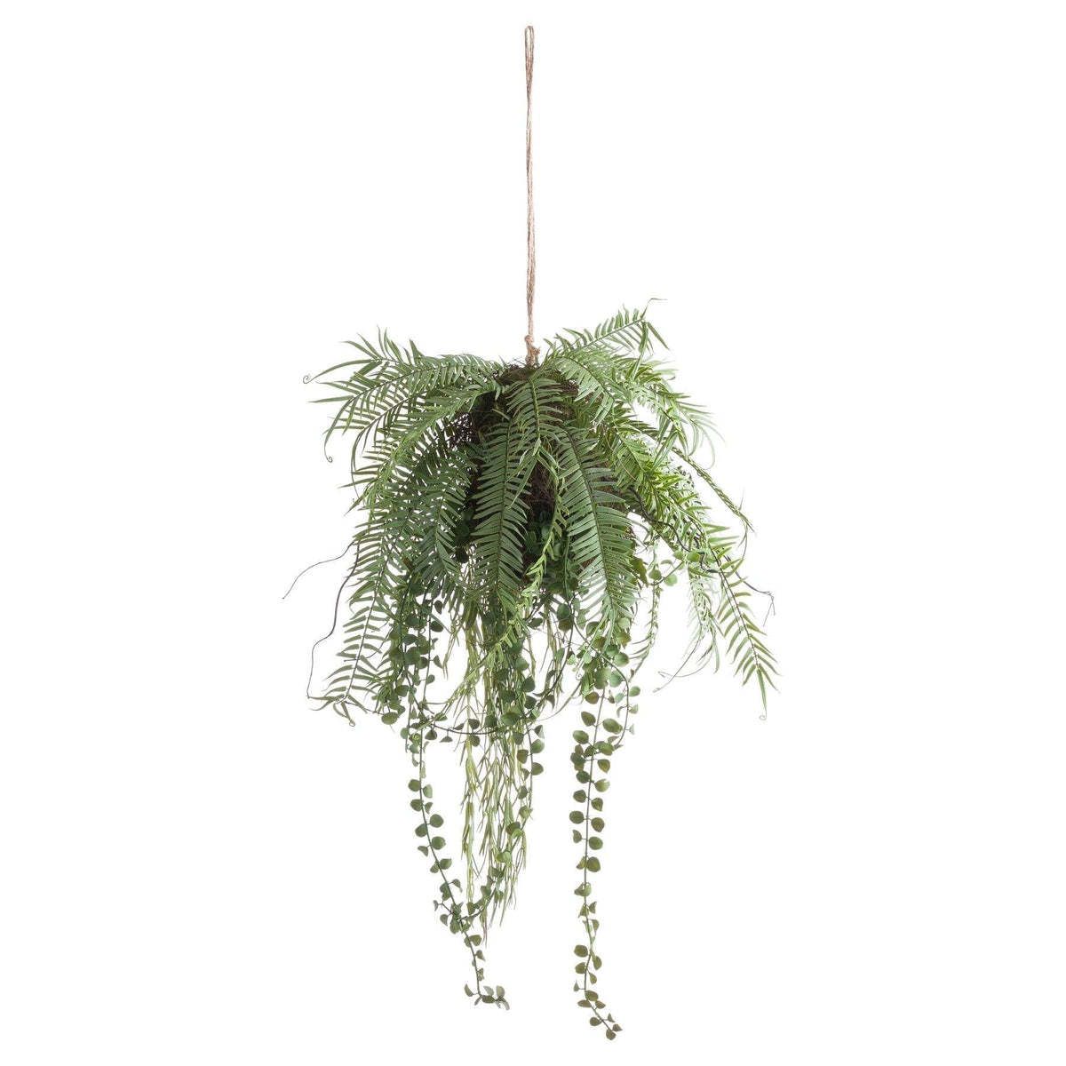 Fern Hanging Basket Arrangement - Vookoo Lifestyle
