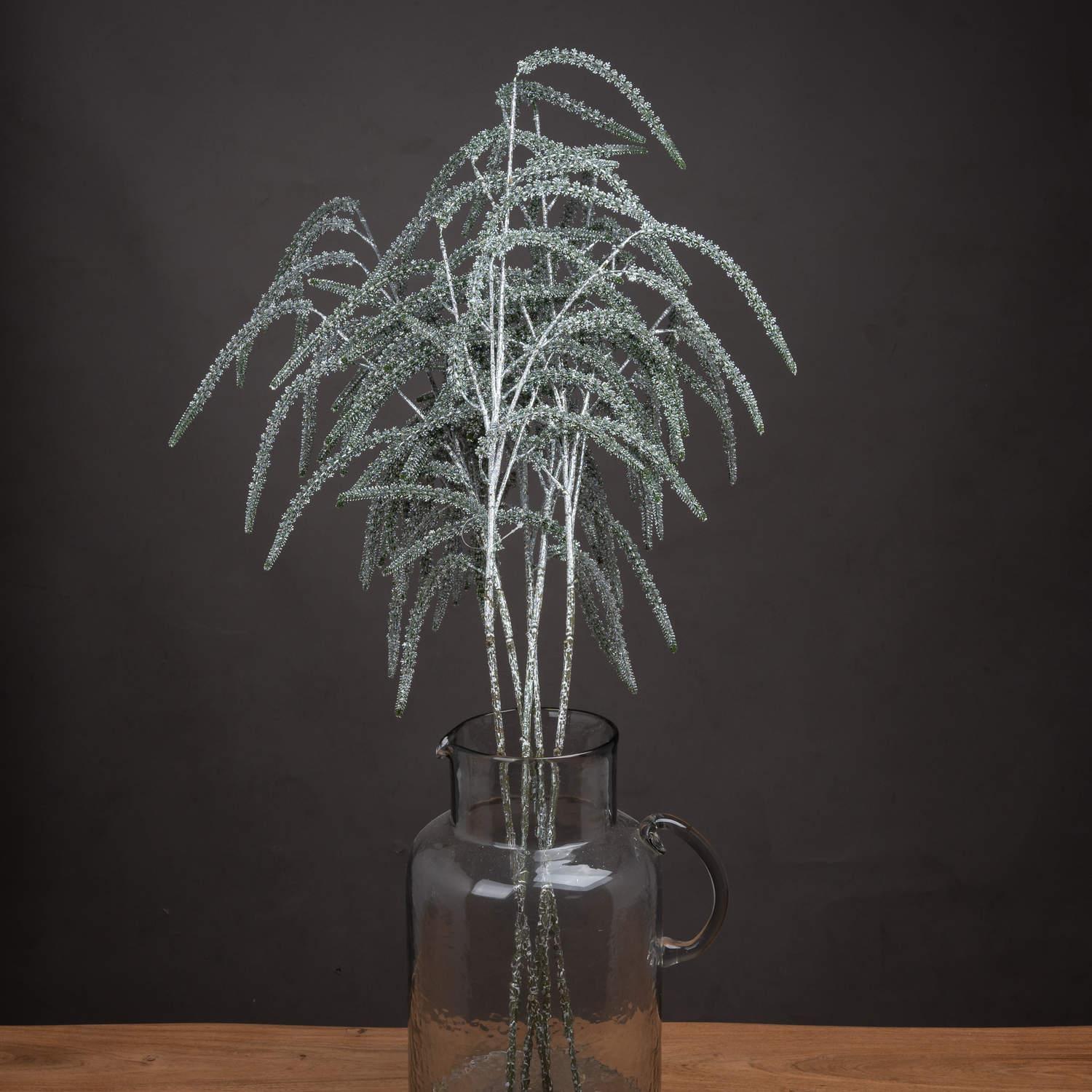 Festive Amaranthus - Vookoo Lifestyle