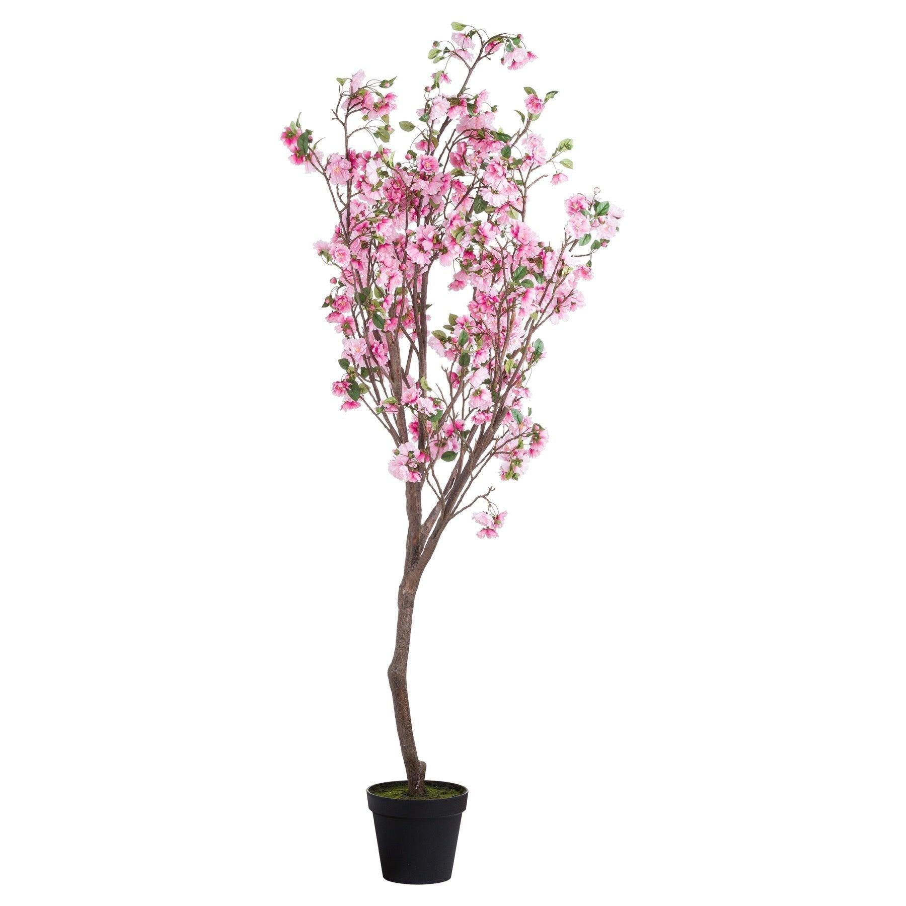 Large Cherry Blossom Tree - Vookoo Lifestyle
