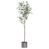 Large Eucalyptus Tree In Metallic Pot - Vookoo Lifestyle