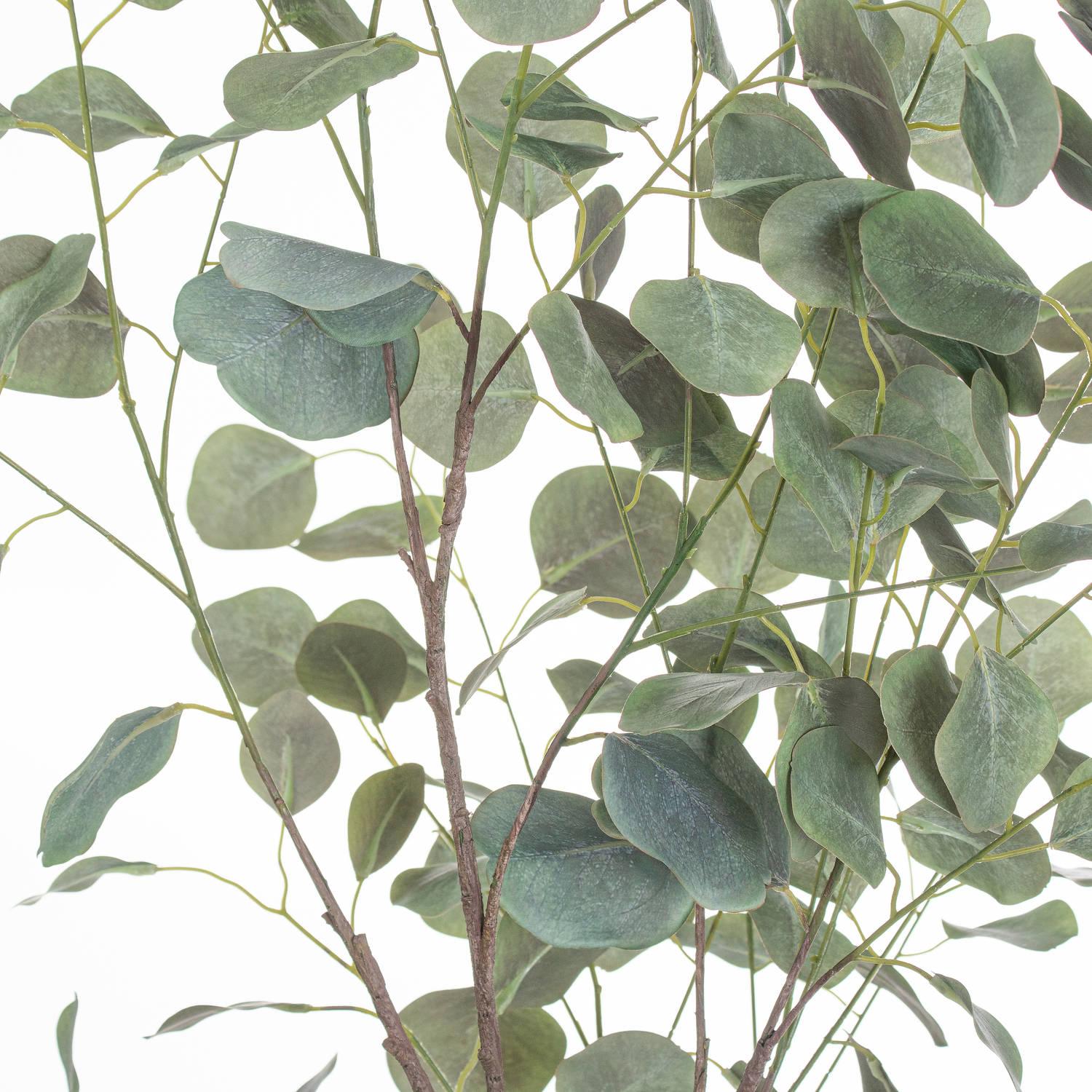 Large Eucalyptus Tree In Metallic Pot - Vookoo Lifestyle