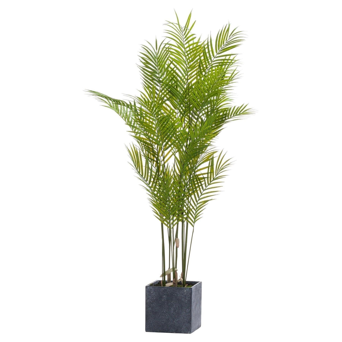 Large Paradise Potted Palm - Vookoo Lifestyle