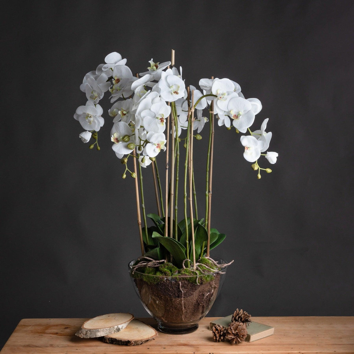 Large White Orchid In Glass Pot - Vookoo Lifestyle