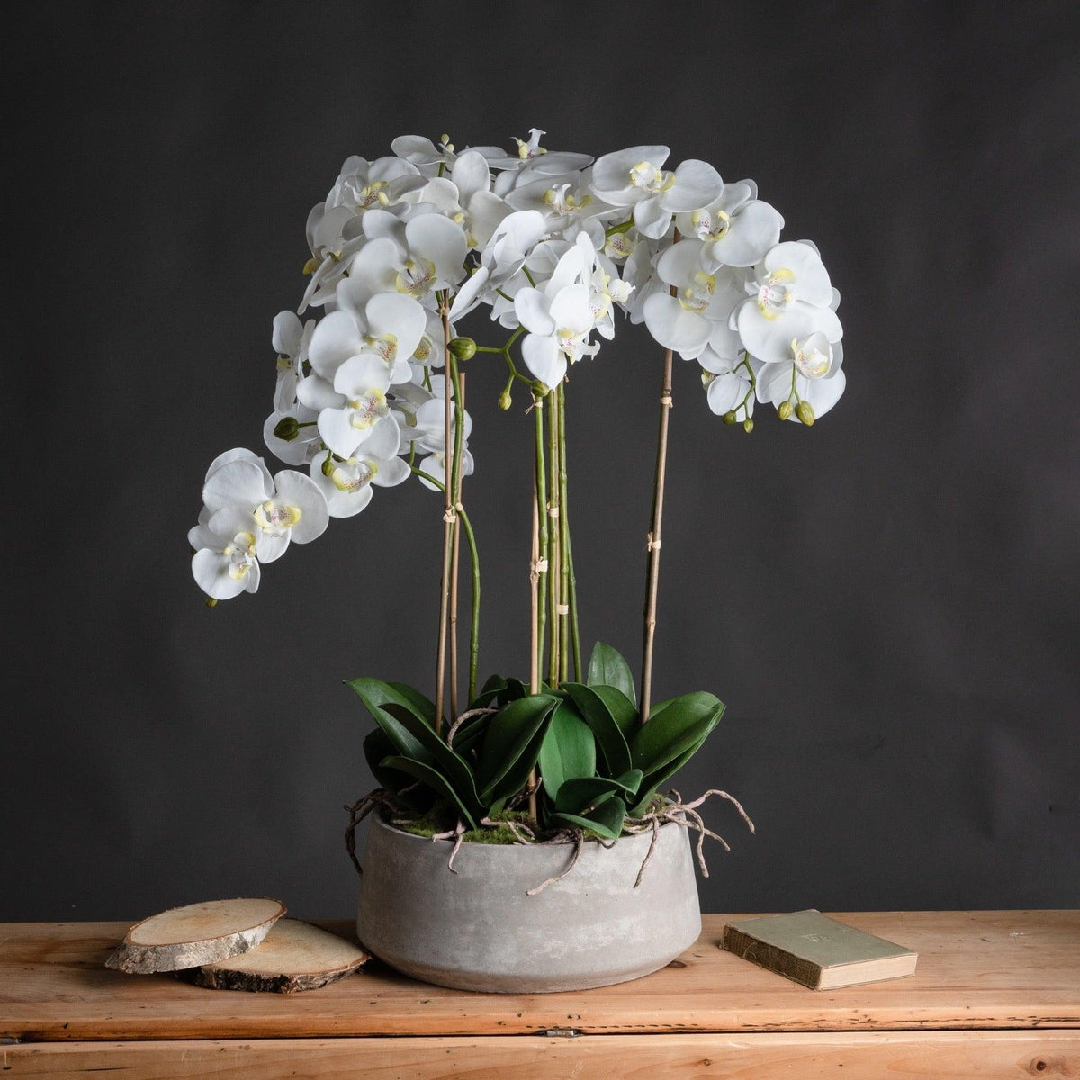 Large White Orchid In Stone Pot - Vookoo Lifestyle