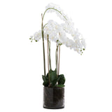 Large White Tall Orchid In Glass Pot - Vookoo Lifestyle