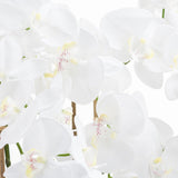 Large White Tall Orchid In Glass Pot - Vookoo Lifestyle