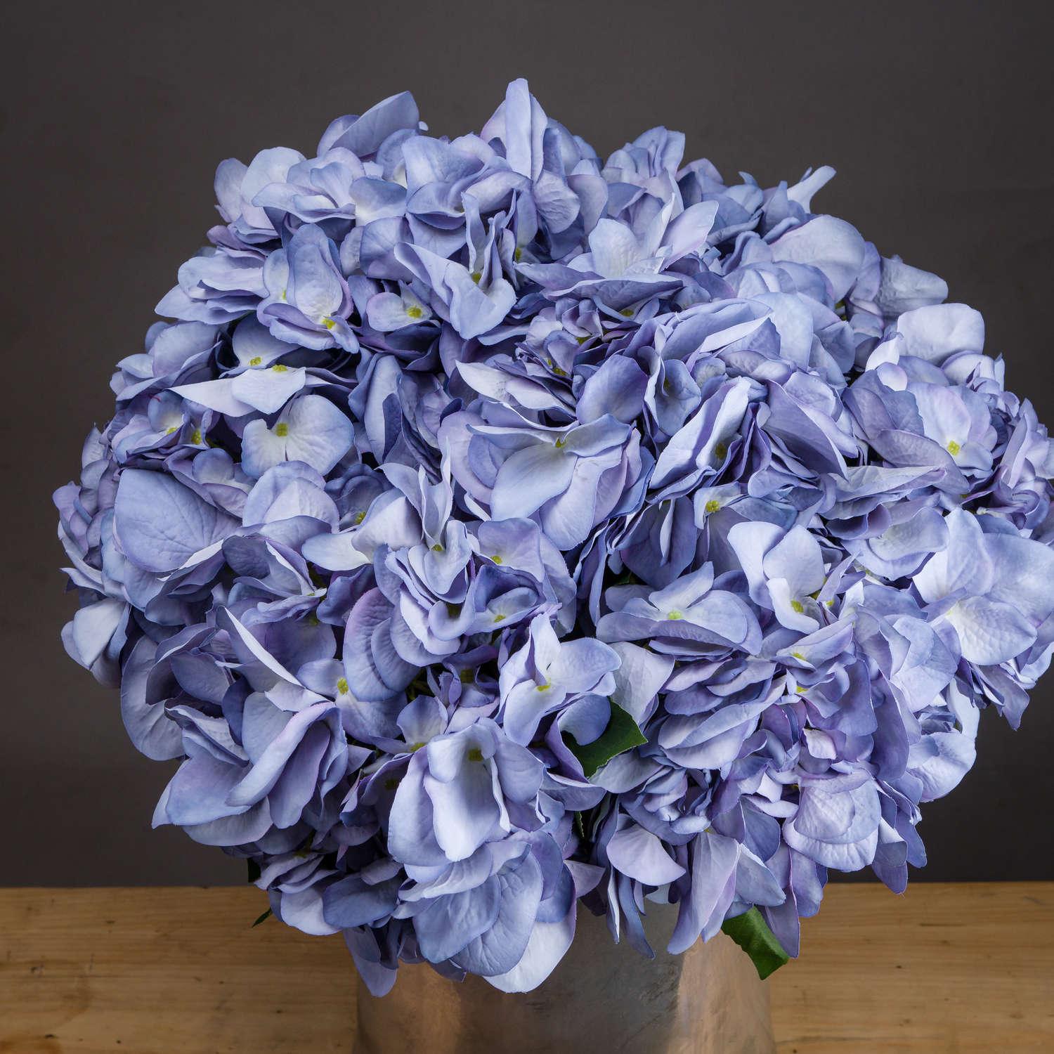 Lilac Hydrangea - Vookoo Lifestyle