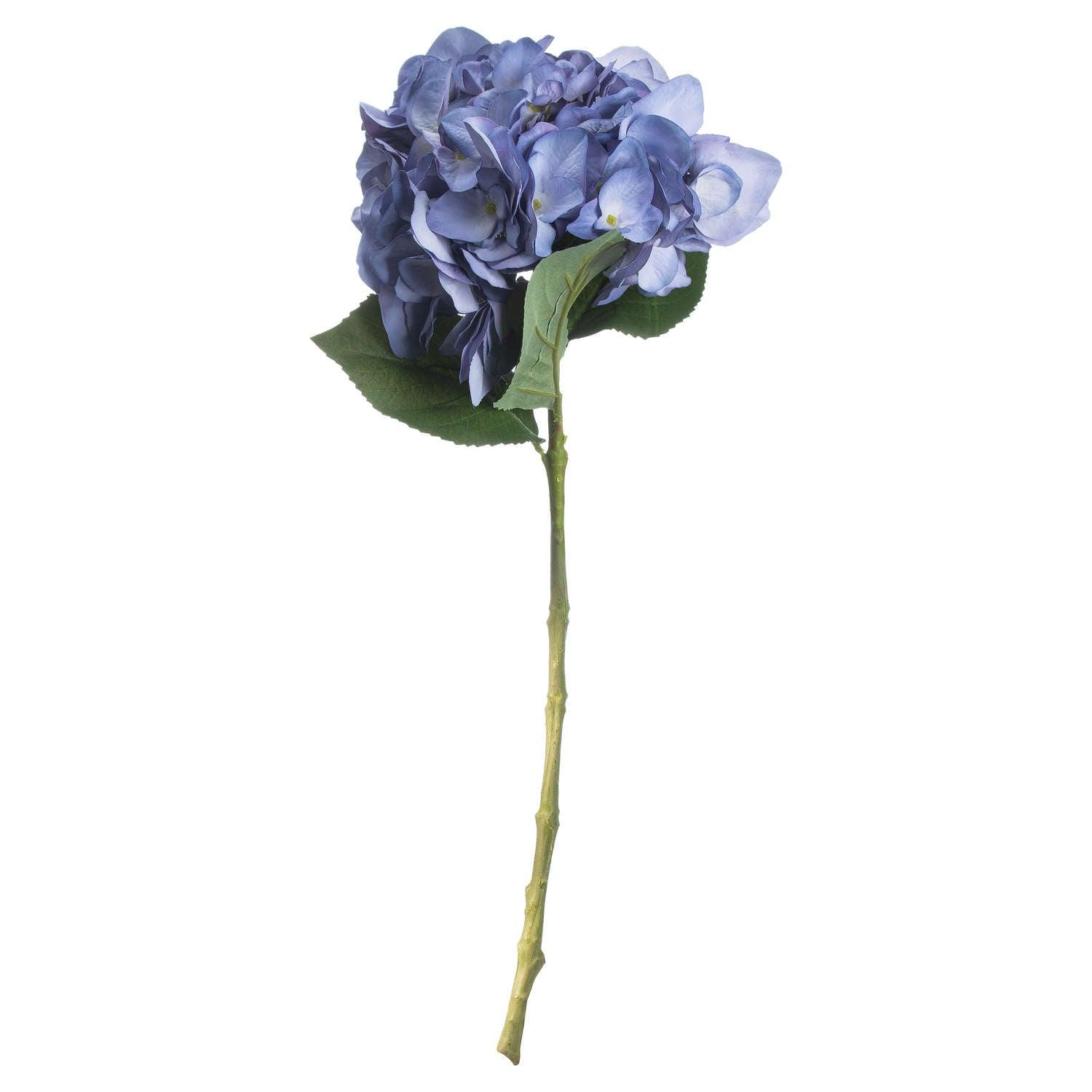 Lilac Hydrangea - Vookoo Lifestyle