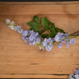 Lilac Wisteria - Vookoo Lifestyle