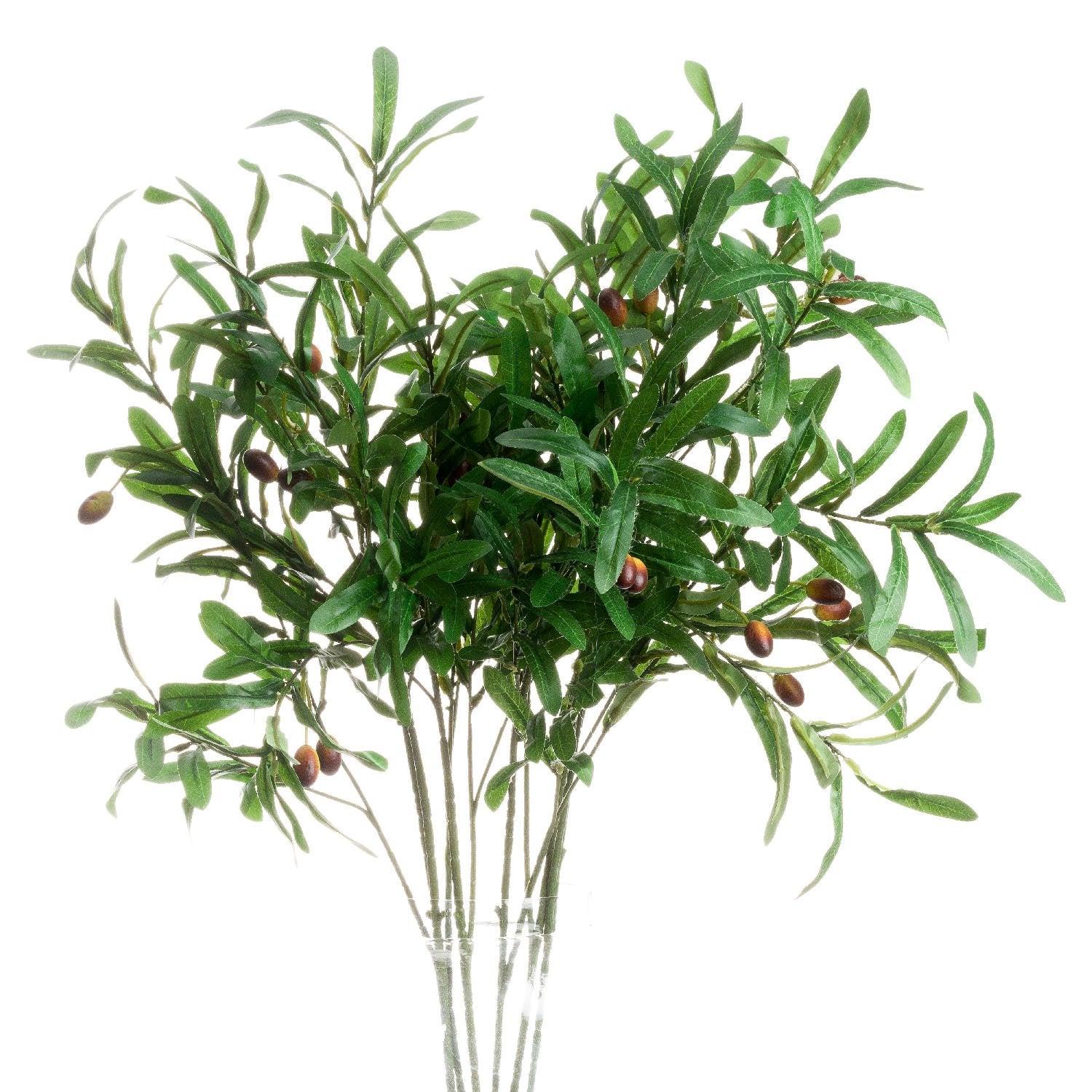Olive Branch - Vookoo Lifestyle