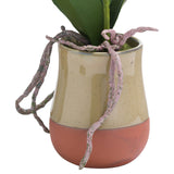 Orchid In Terracotta Glazed Pot - Vookoo Lifestyle