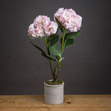 Pale Pink Oversized Hydrangea Spray - Vookoo Lifestyle