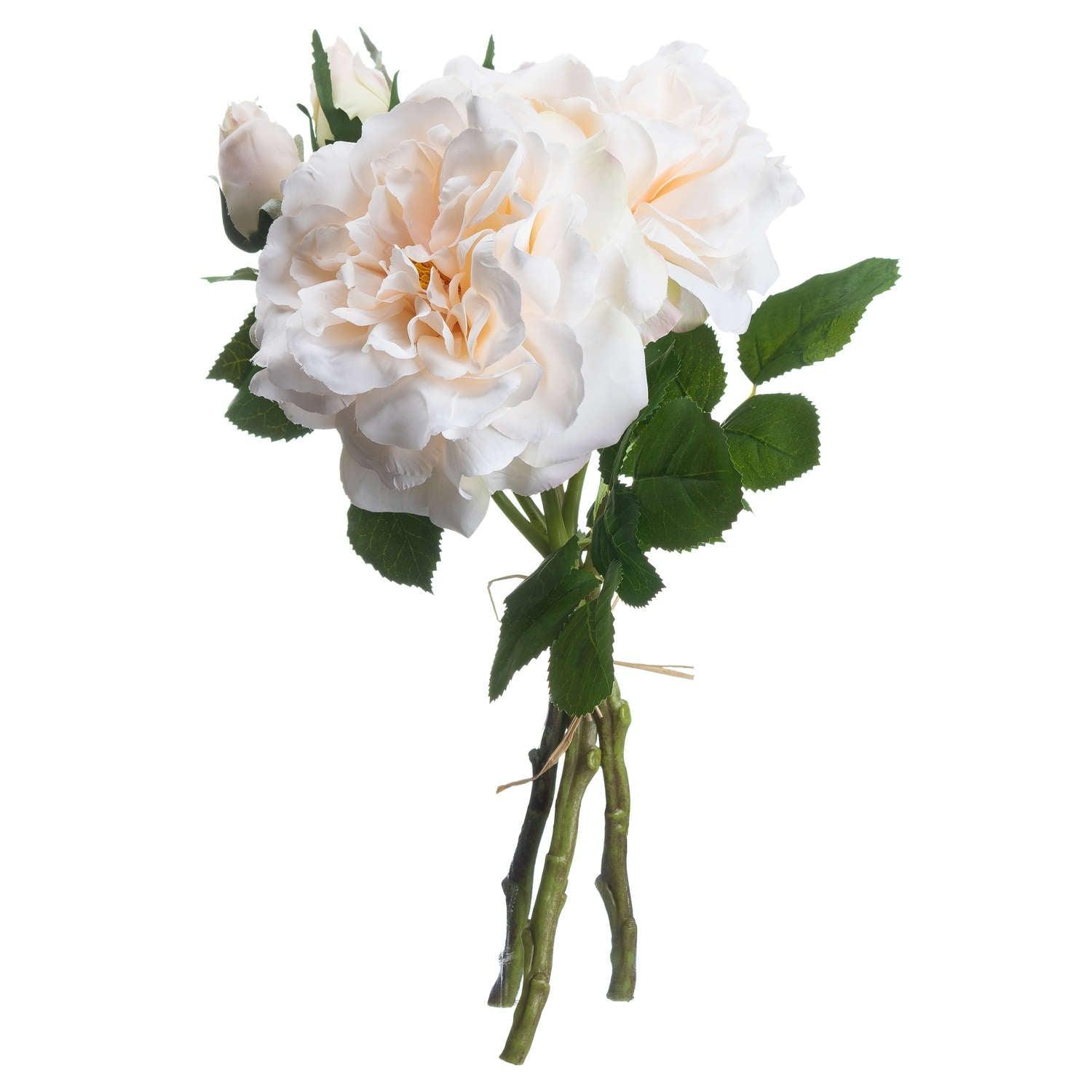 Peachy Cream Short Stem Rose Bouquet - Vookoo Lifestyle