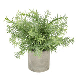 Rosemary Plant In Stone Effect Pot - Vookoo Lifestyle