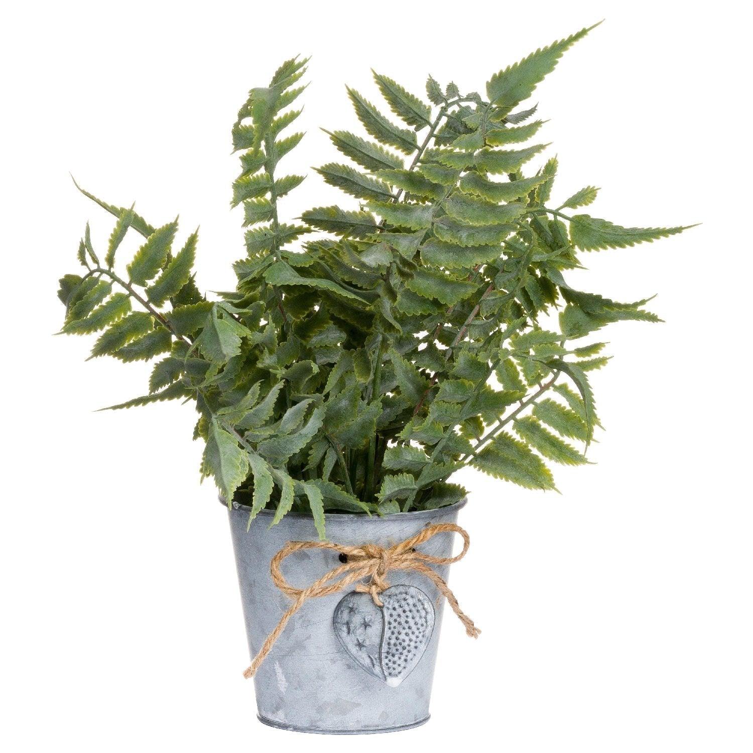 Sage Fern In A Tin Pot - Vookoo Lifestyle