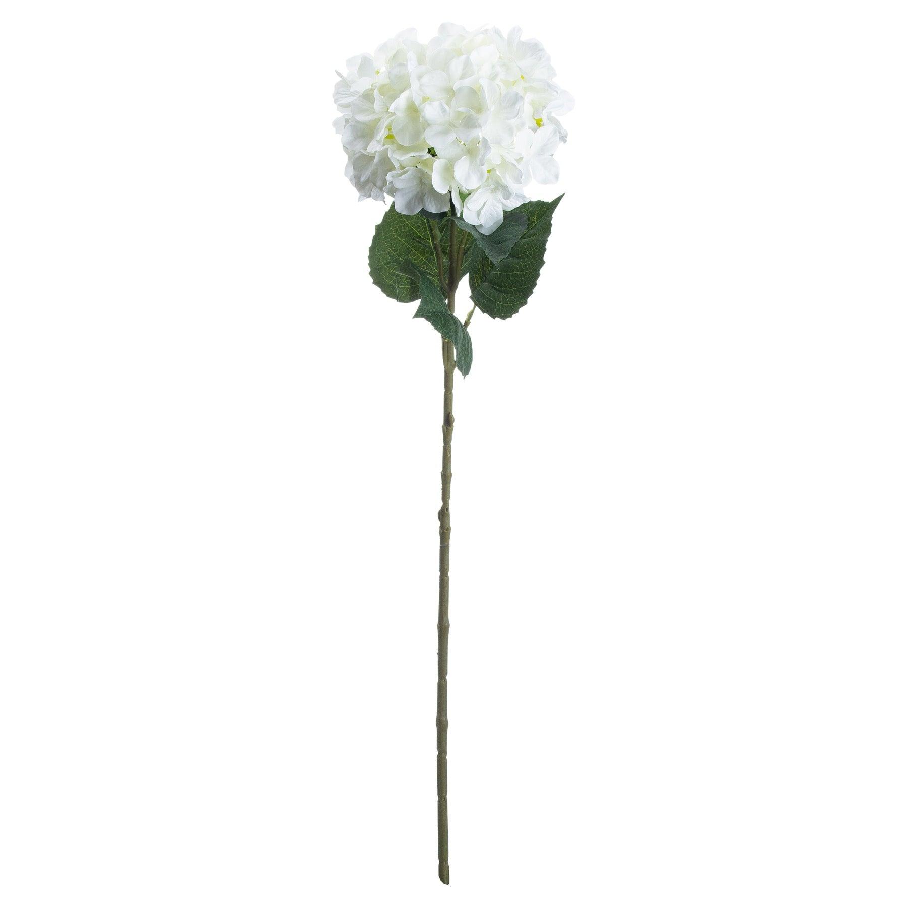 Single White Hydrangea - Vookoo Lifestyle