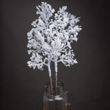 Snow Covered Branch - Vookoo Lifestyle