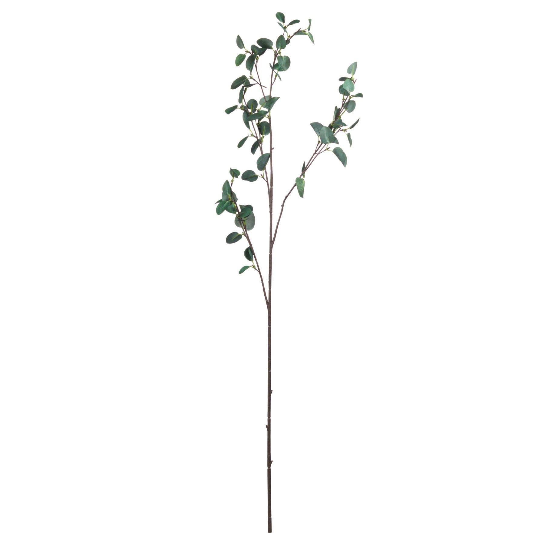 Tall Eucalyptus Stem - Vookoo Lifestyle