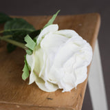 Traditional White Rose - Vookoo Lifestyle