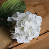 White Small Head Hydrangea - Vookoo Lifestyle