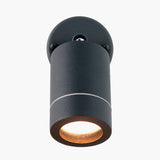 Lantana Dark Grey Adjustable Directional Spot Light